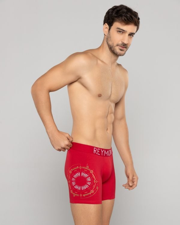 Bóxer semilargo Algodón estampado Ref.3011 - Image 4