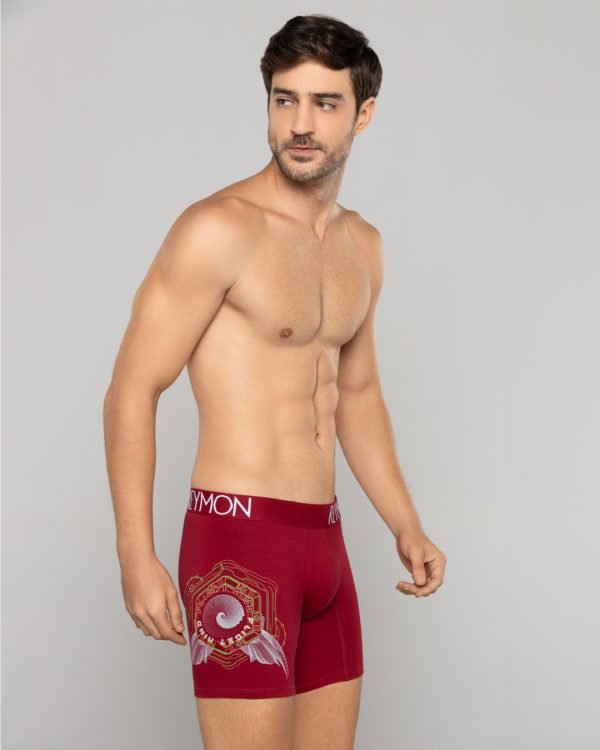 Bóxer semilargo Algodón estampado Ref.3011 - Image 3