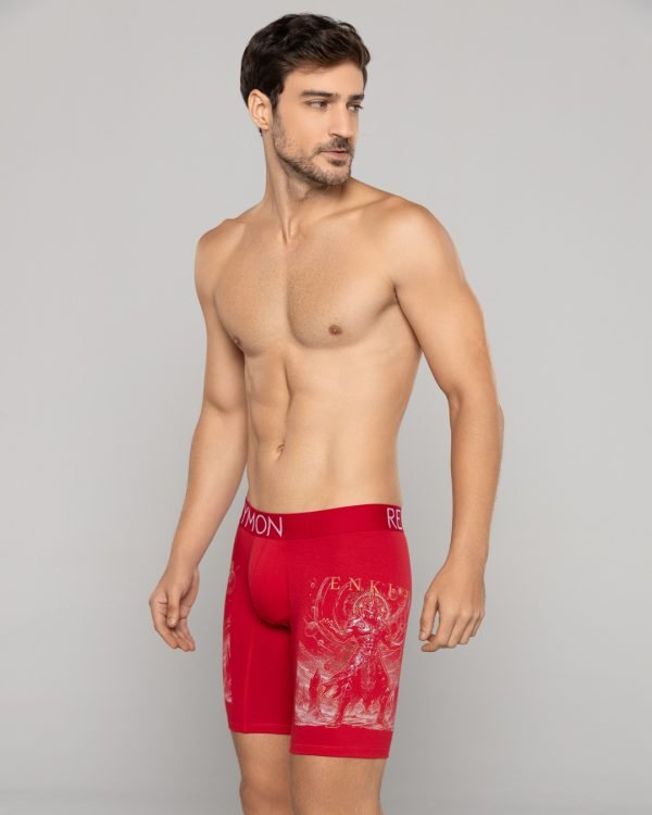 Bóxer largo Algodón estampado Ref.3023 - Image 5